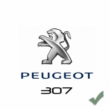 images/categorieimages/Peugeot307Categorie.jpg