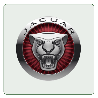 CAR-BAGS Jaguar