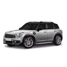 CAR-BAGS Mini Countryman