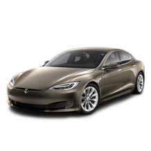 CAR-BAGS Tesla Model-S